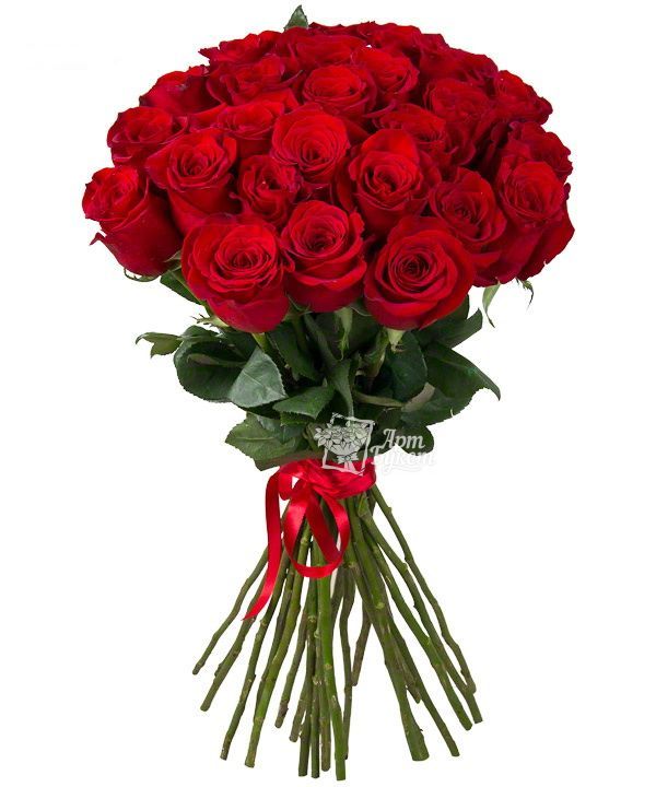 <span style="font-weight: bold;">25 роз</span>